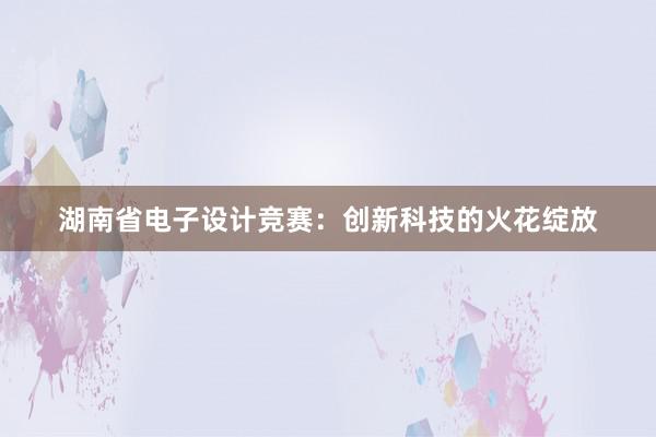 湖南省电子设计竞赛：创新科技的火花绽放